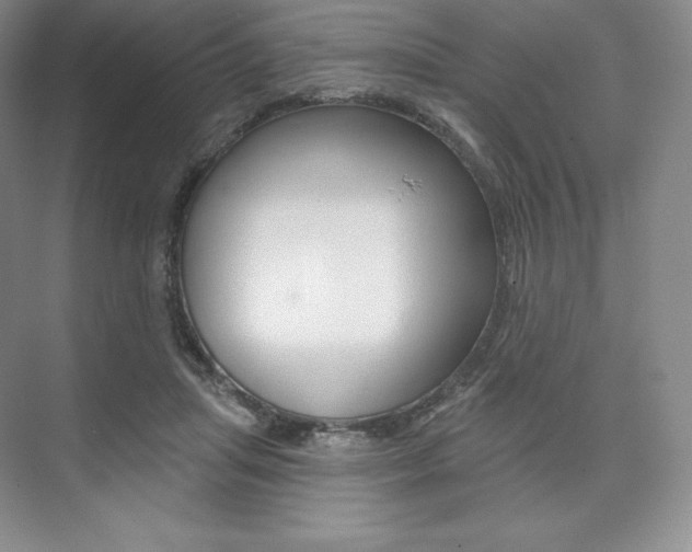X0000073890455200608110914