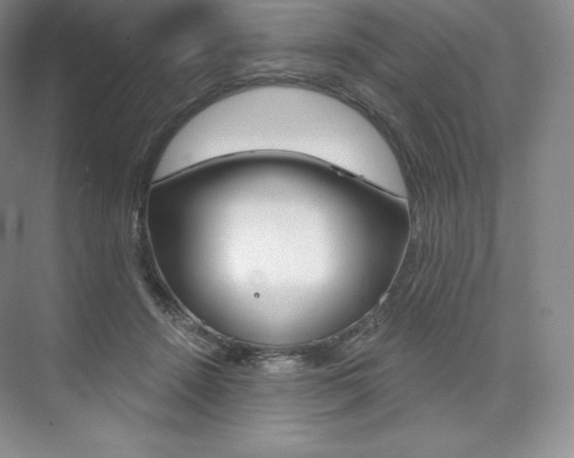 X0000073890456200608110914