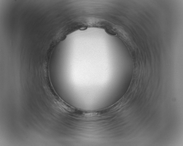 X0000073890461200608110914