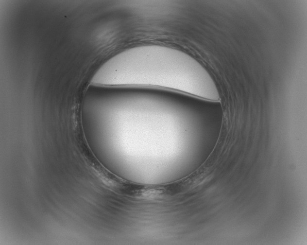 X0000073890462200608110914