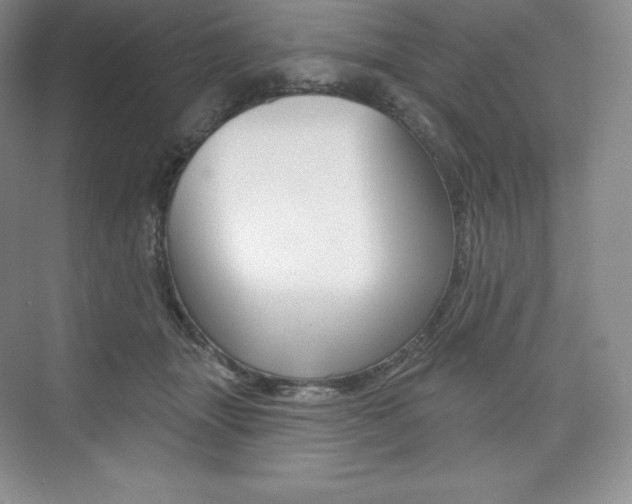 X0000073890463200608110914