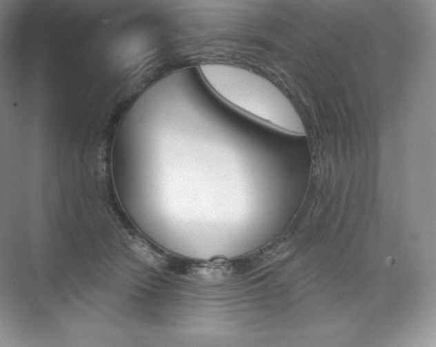 X0000073890466200608110914