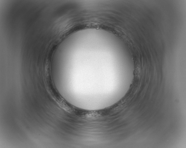 X0000073890468200608110914