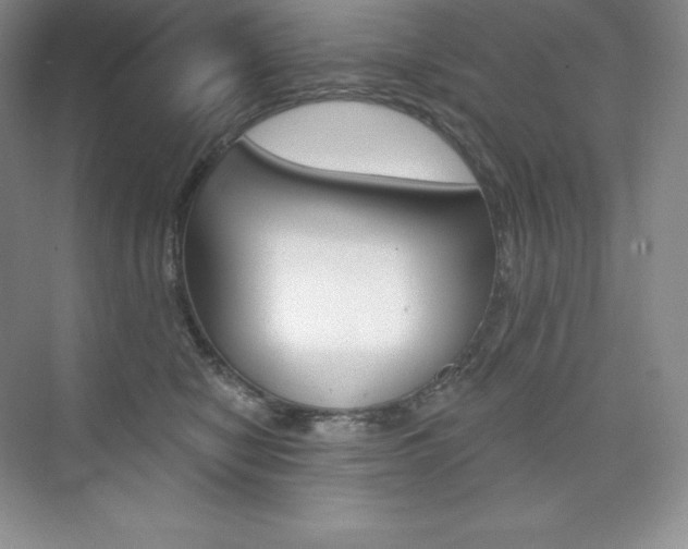 X0000073890470200608110914