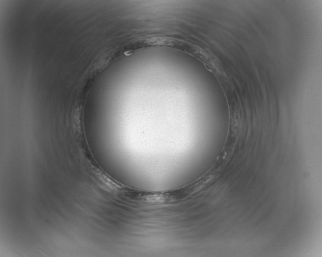X0000073890473200608110914