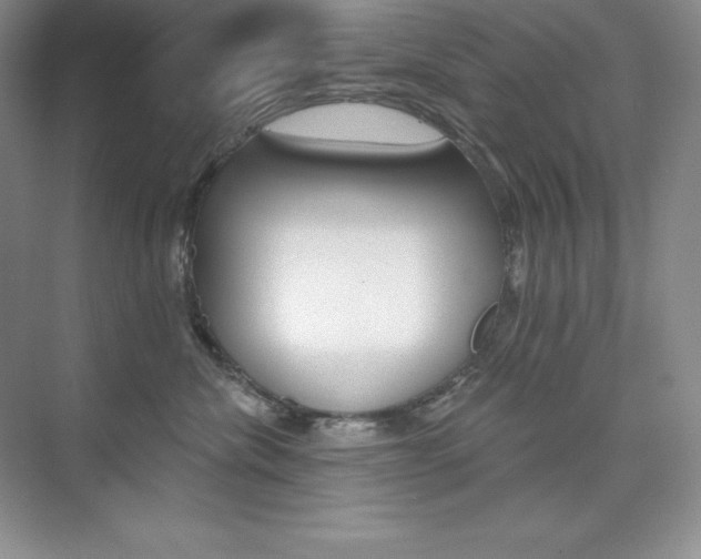 X0000073890476200608110914