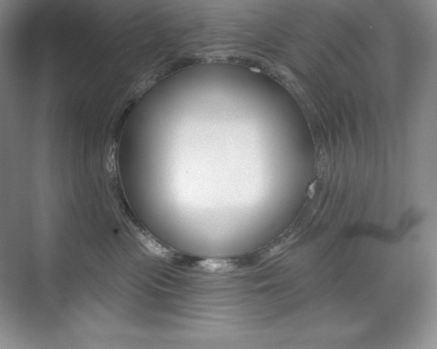 X0000073890477200608110914