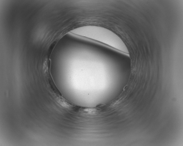 X0000073890478200608110914