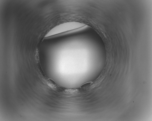 X0000073890480200608110914