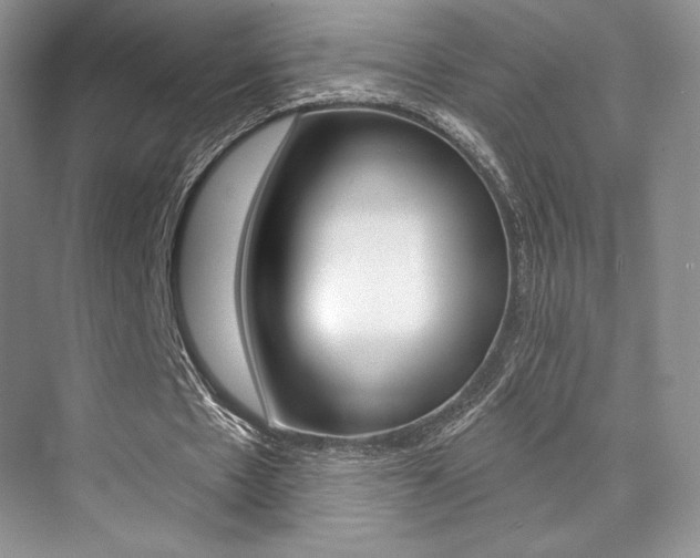 X0000073890481200608110914