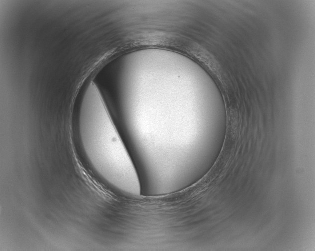 X0000073890482200608110914