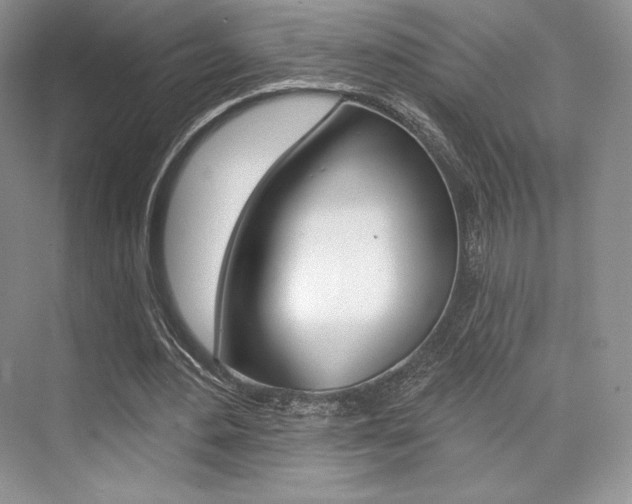 X0000073890484200608110913