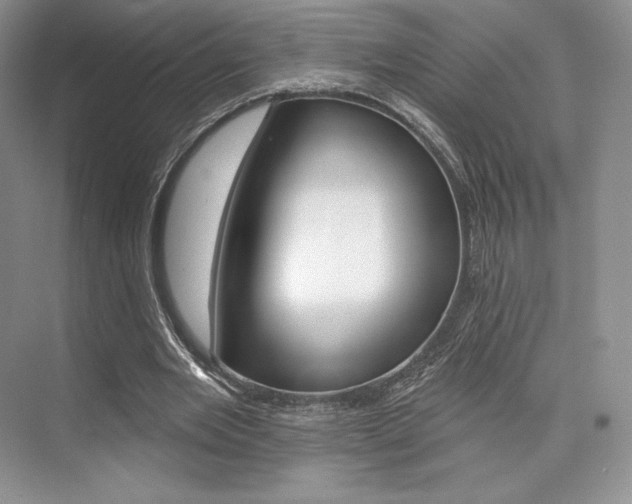 X0000073890485200608110913