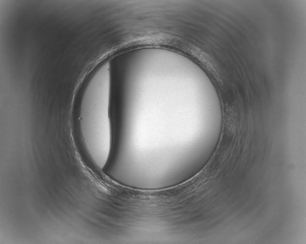 X0000073890486200608110913