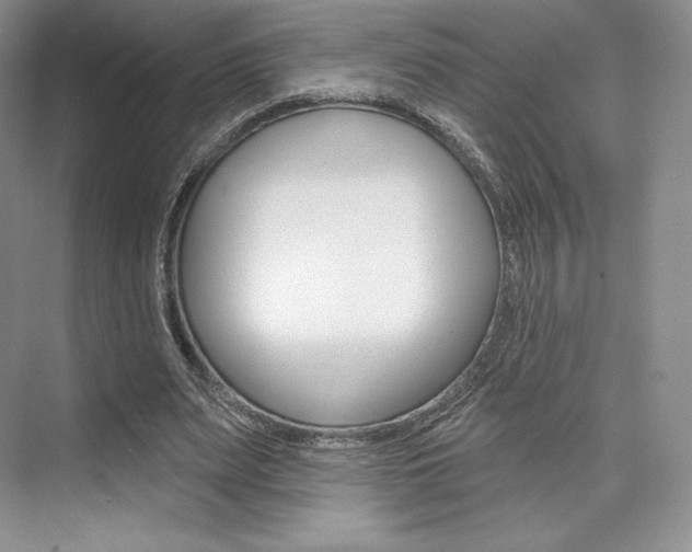 X0000073890487200608110913