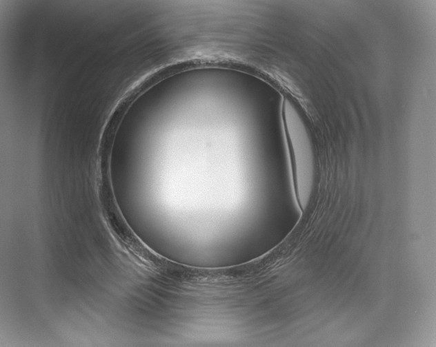 X0000073890488200608110913