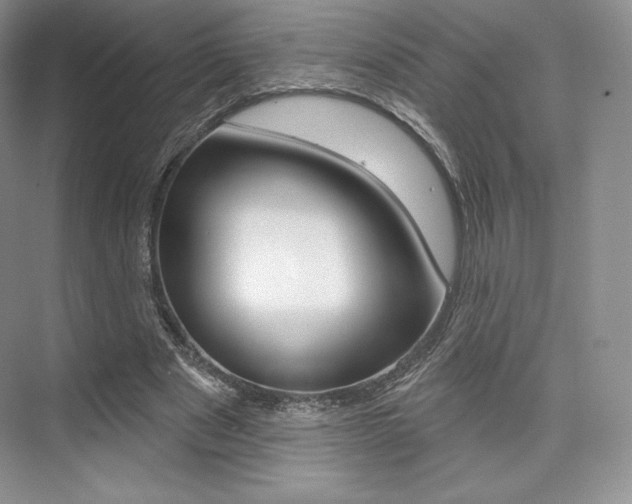 X0000073890489200608110913