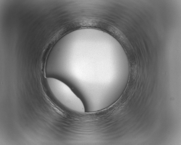 X0000073890490200608110913
