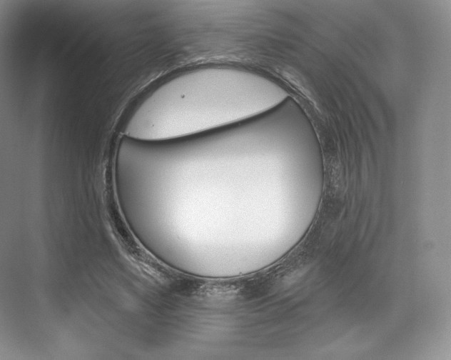 X0000073890491200608110913