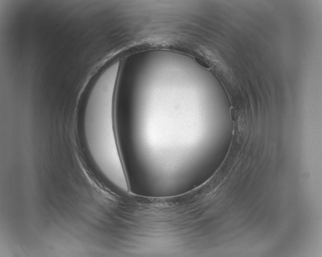 X0000073890492200608110913