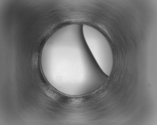 X0000073890495200608110913