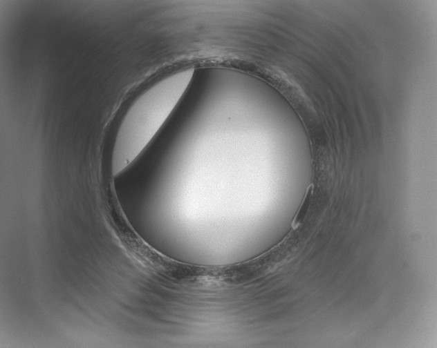 X0000073890496200608110913