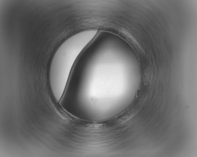 X0000073890497200608110913