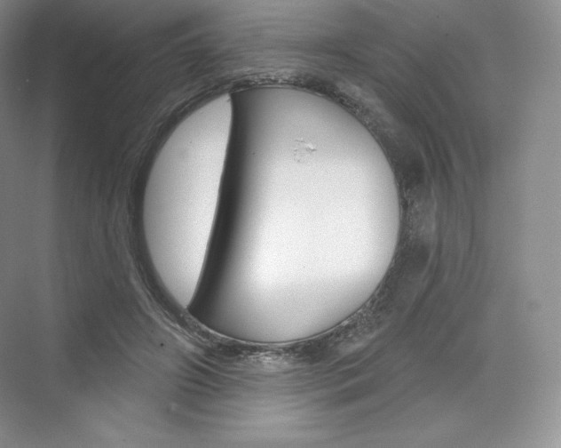 X0000073890498200608110913