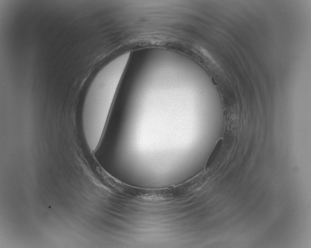X0000073890500200608110913