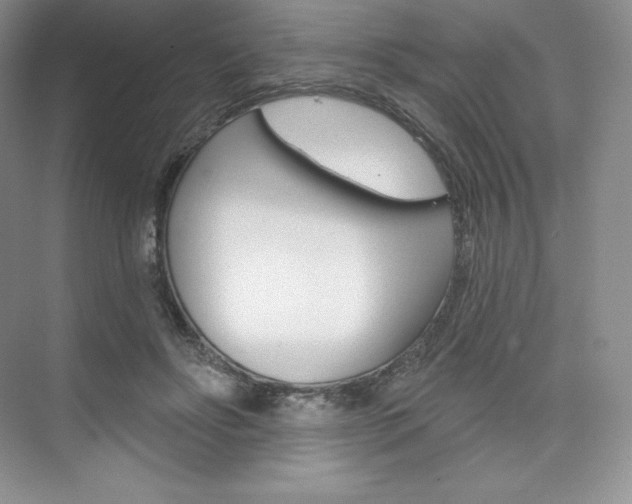 X0000073890502200608110913