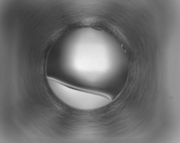 X0000073890505200608110913