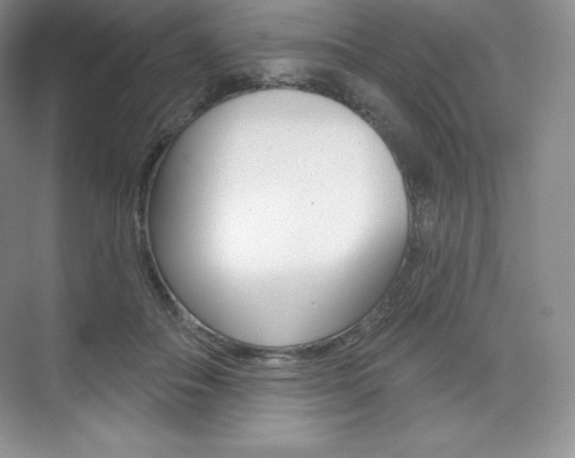 X0000073890506200608110913
