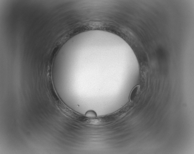 X0000073890507200608110913