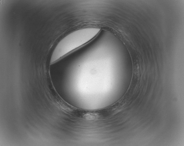 X0000073890508200608110913