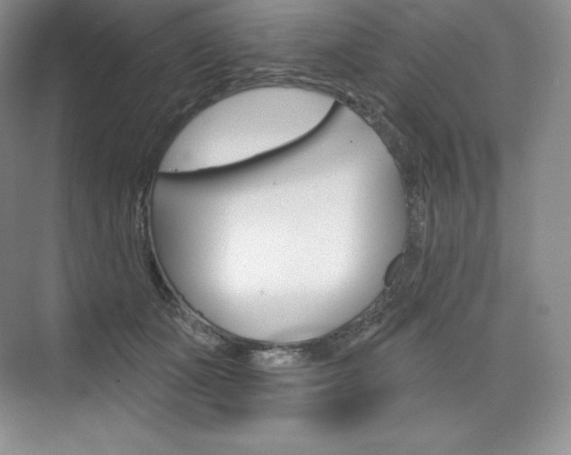 X0000073890511200608110913