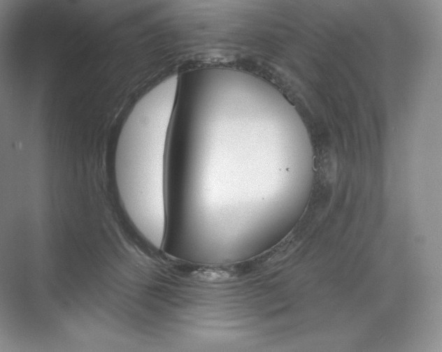 X0000073890512200608110913