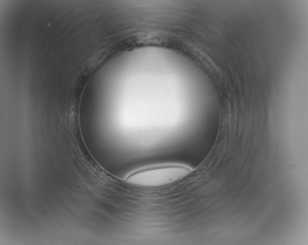 X0000073890513200608110913