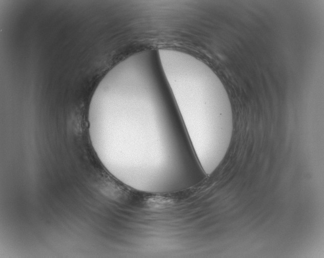 X0000073890515200608110913