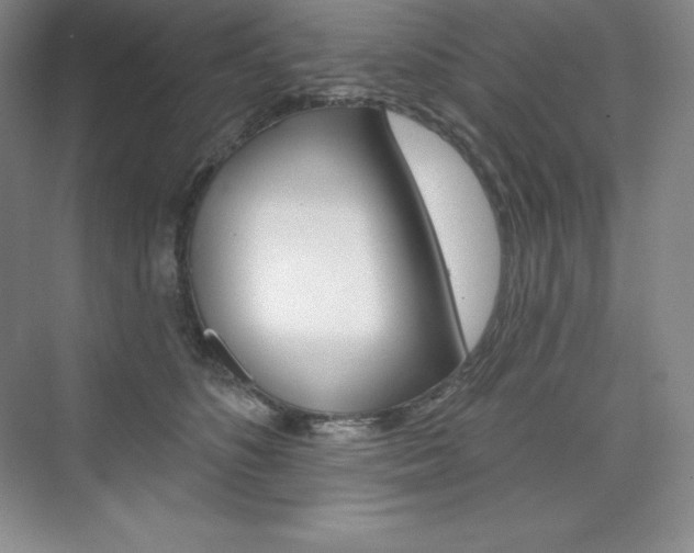 X0000073890516200608110913