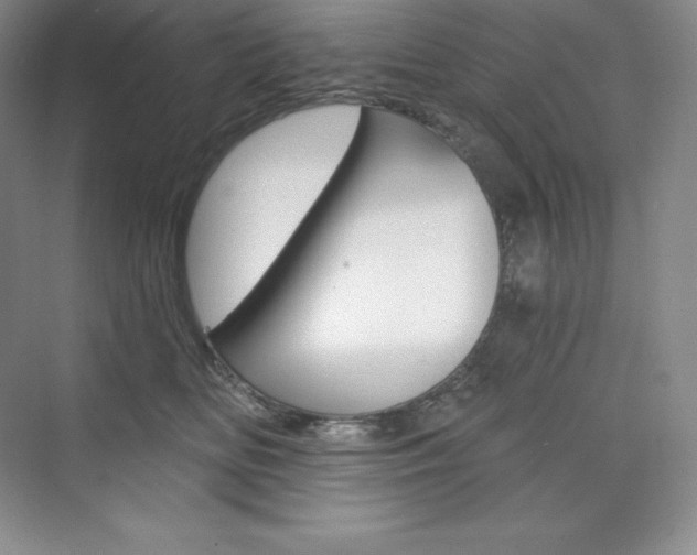 X0000073890518200608110913