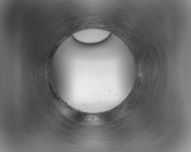 X0000073890519200608110913