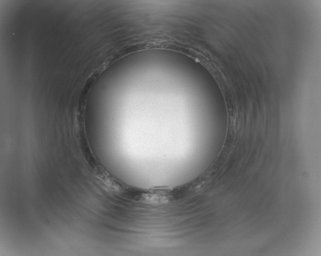 X0000073890520200608110913