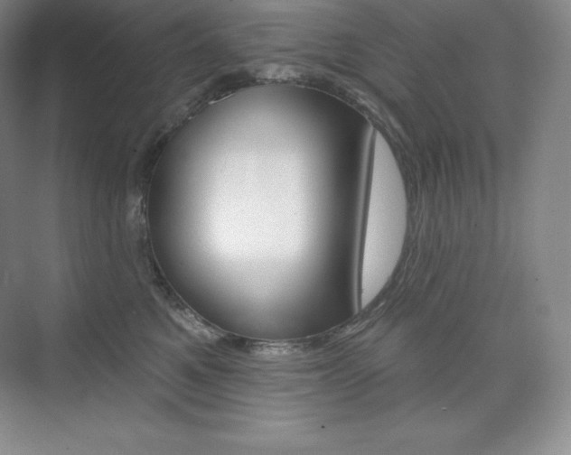 X0000073890521200608110913