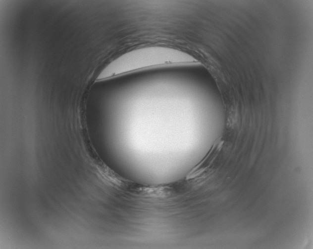 X0000073890524200608110913