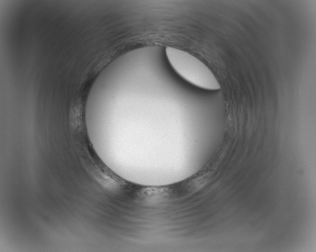 X0000073890526200608110913