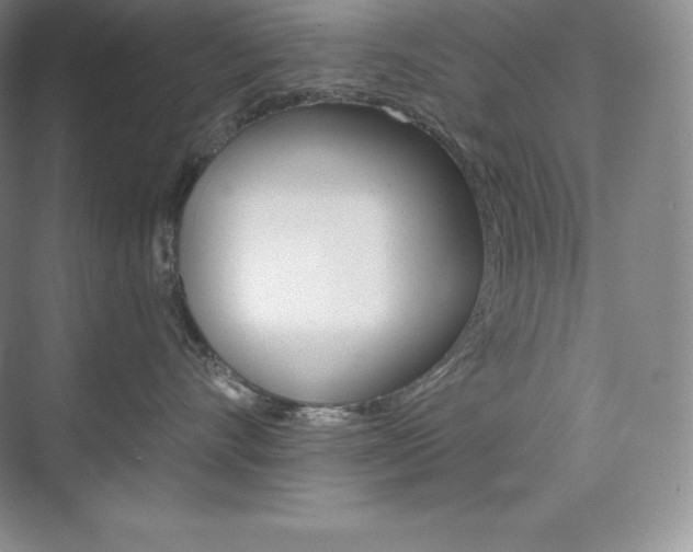 X0000073890528200608110913