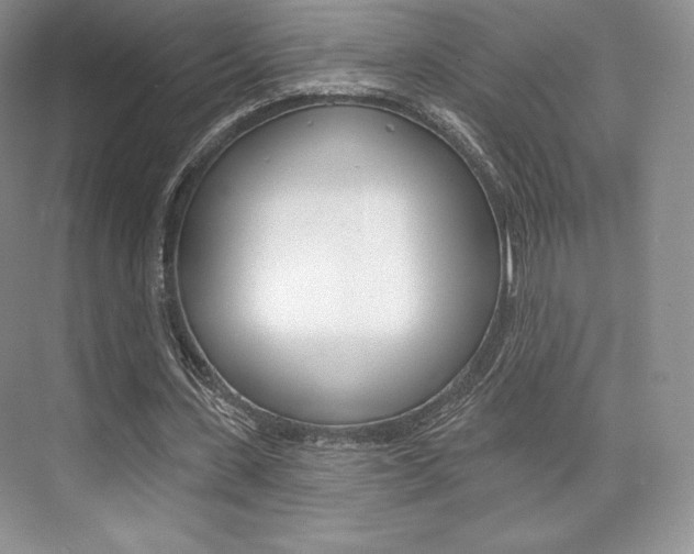 X0000073890531200608110912