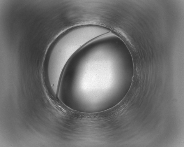 X0000073890532200608110912