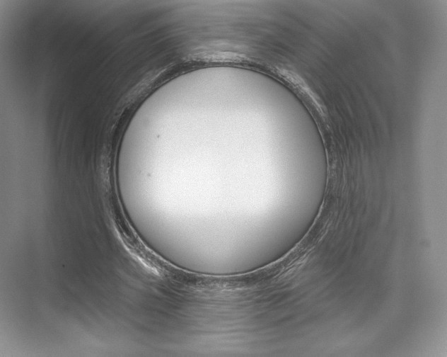 X0000073890533200608110912