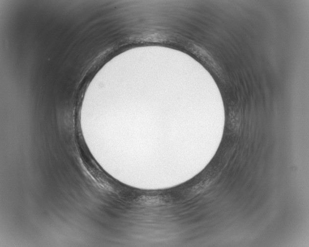 X0000073890534200608110912
